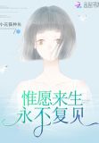 惟愿来生永不复见