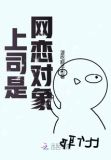 上司是网恋对象的小说