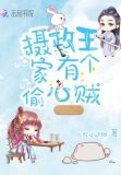 摄政王的心头宠