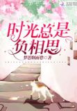 时光总是负相思小说