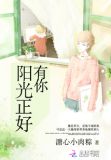 有你阳光正好小说全文免费阅读