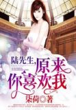 陆先生偏偏喜欢你免费阅读