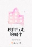 独自行走的蜗牛