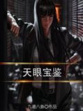 天眼宝鉴视频在线观看