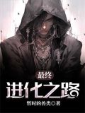 最终进化之路