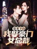 男主角叫龙枭的小说