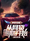 神豪丛网络开始