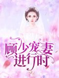 顾少宠妻上瘾完整版