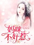 神偷妈咪天才宝宝