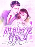 替嫁甜妻甜炸了