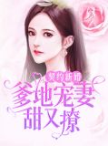 契约双宝爹地请接招小说全文免费阅读