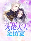 假面娇妻太上头