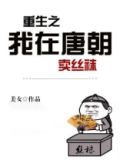 重生之我在唐朝卖丝袜