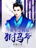 重生之极品驸马爷冬歌txt