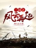 三国之风云再起手游