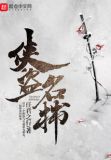 侠盗什么