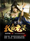 我的老婆蔡文姬免费阅读