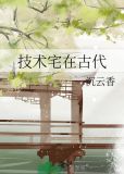 技术宅在古代