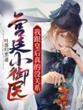 宫廷御医小说