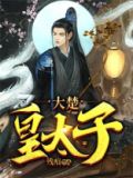 大楚皇太子小说TXT下载