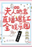 陆爷,夫人她靠直播爆红全娱乐圈