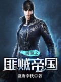 网游之贼行无影 小说