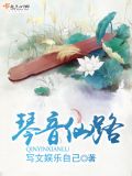 琴音仙路TXT免费下载