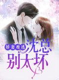 娇妻难追总裁请止步全文免费