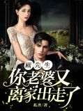 顾先生,你老婆又离家出走了免费阅读