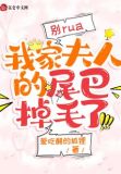 夫人别撩我 小说