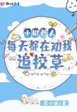 小机器人把自己上交了免费阅读
