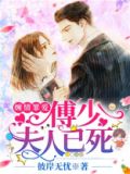 小说缠婚