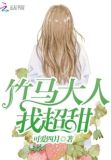 竹马大人帅炸了 小说