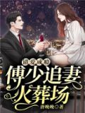 错爱傅先生