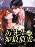 一夜成婚陆先生太神秘