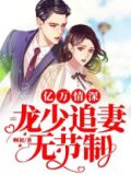 亿万豪宠,厉少霸道宠