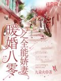 暖婚八零之全能娇妻免费阅读下载