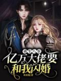 重生八零:亿万大佬要和我闪婚?