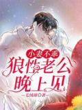 小妻不乖:狼性老公晚上见