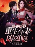 豪门枭宠:重生小妻凶凶哒漫画