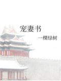 宠妻书txt