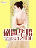 小说盛世华