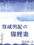 穿成男配的锦鲤妻 离离香