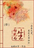 综向死而生小说免费阅读