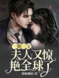 一胎三宝夫人又惊艳全球了全文阅读