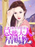 重生小娇妻总裁大人请赐教小说全本免费