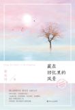 藏在回忆里的风景小说