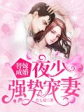 替嫁成婚:夜少强势宠妻洛依依夜北辰