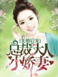 先婚后宠:总裁大人小娇妻,漫画