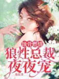 蚀骨燃情：狼性总裁夜夜宠